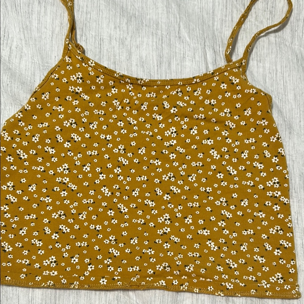 American Eagle Outfitters Gold Sleeveless Crop Camisole